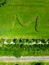 Load image into Gallery viewer, Talk of Miami - Day