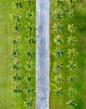 Load image into Gallery viewer, Talk of Miami - Day