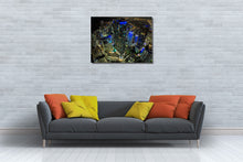 Load image into Gallery viewer, Top of Miami