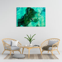 Load image into Gallery viewer, Florida Manatee