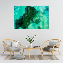 Load image into Gallery viewer, Florida Manatee