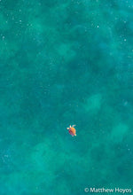 Load image into Gallery viewer, Turtle Galaxy