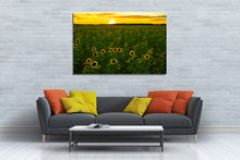 Load image into Gallery viewer, Sunflower Sunset