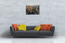 Load image into Gallery viewer, Barranquilla
