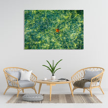 Load image into Gallery viewer, Miami Starfish
