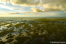 Load image into Gallery viewer, The Glades

