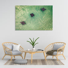 Load image into Gallery viewer, Unison
