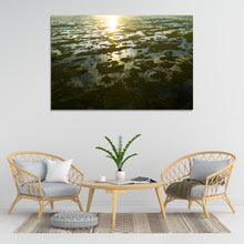 Load image into Gallery viewer, Earthy Florida
