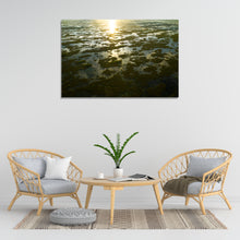 Load image into Gallery viewer, Earthy Florida
