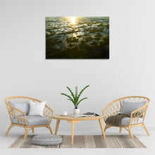 Load image into Gallery viewer, Earthy Florida
