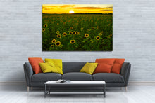 Load image into Gallery viewer, Sunflower Sunset
