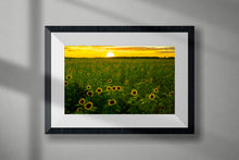 Load image into Gallery viewer, Sunflower Sunset
