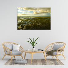 Load image into Gallery viewer, The Glades
